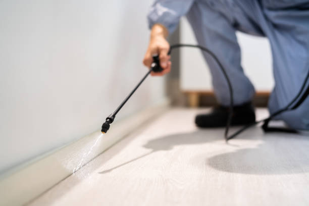 Licensed Pest Control service in Saucier, MS - Show Me Pest Control