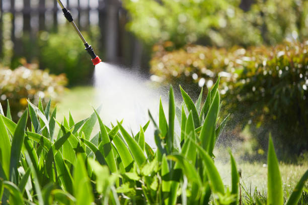 Tamper-Resistant Bait Stations for Rodents in Saucier