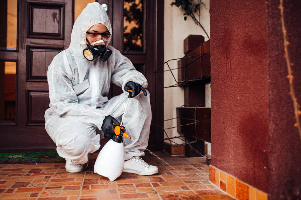Attic and Crawl Space Rodent Treatment in Saucier