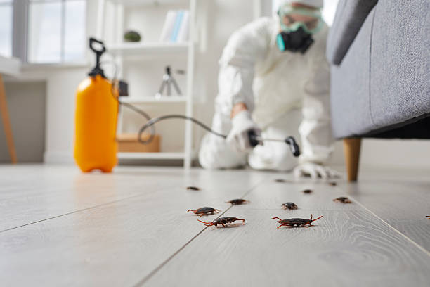 Commercial Rodent Management in Saucier